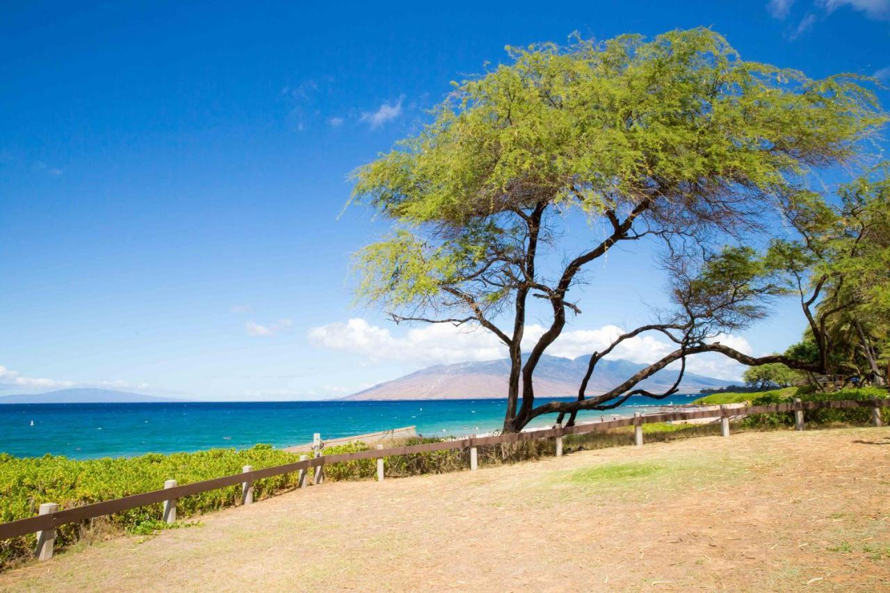Villa Hale Kamaole 241 Wailea  Esterno foto